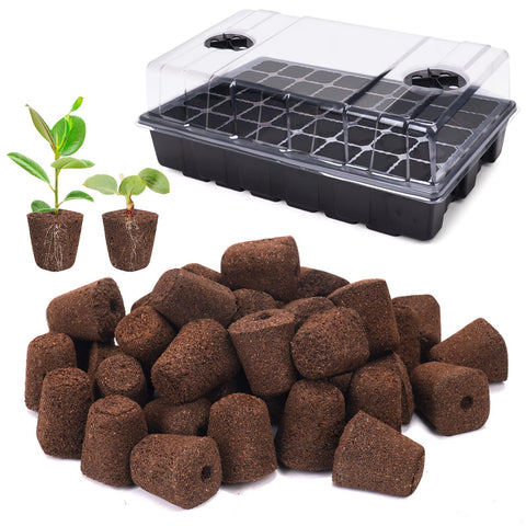 LAPOND seed starter plugs in tray ready for efficient germination and planting