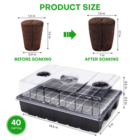 LAPOND starter plugs with cuttings in a tray enable straightforward propagation.