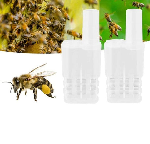 LAPXSNZD plastic queen bee cage holder keeps cages organized for hobby beekeeping.