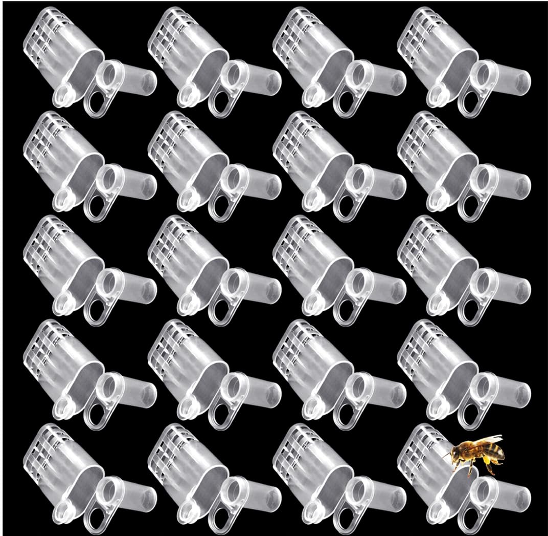 LAPXSNZD queen bee cage clip 20pcs for safe queen isolation during rearing.