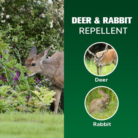 LAQDECDV coverage up to 100 sq ft per bag protects borders and beds.