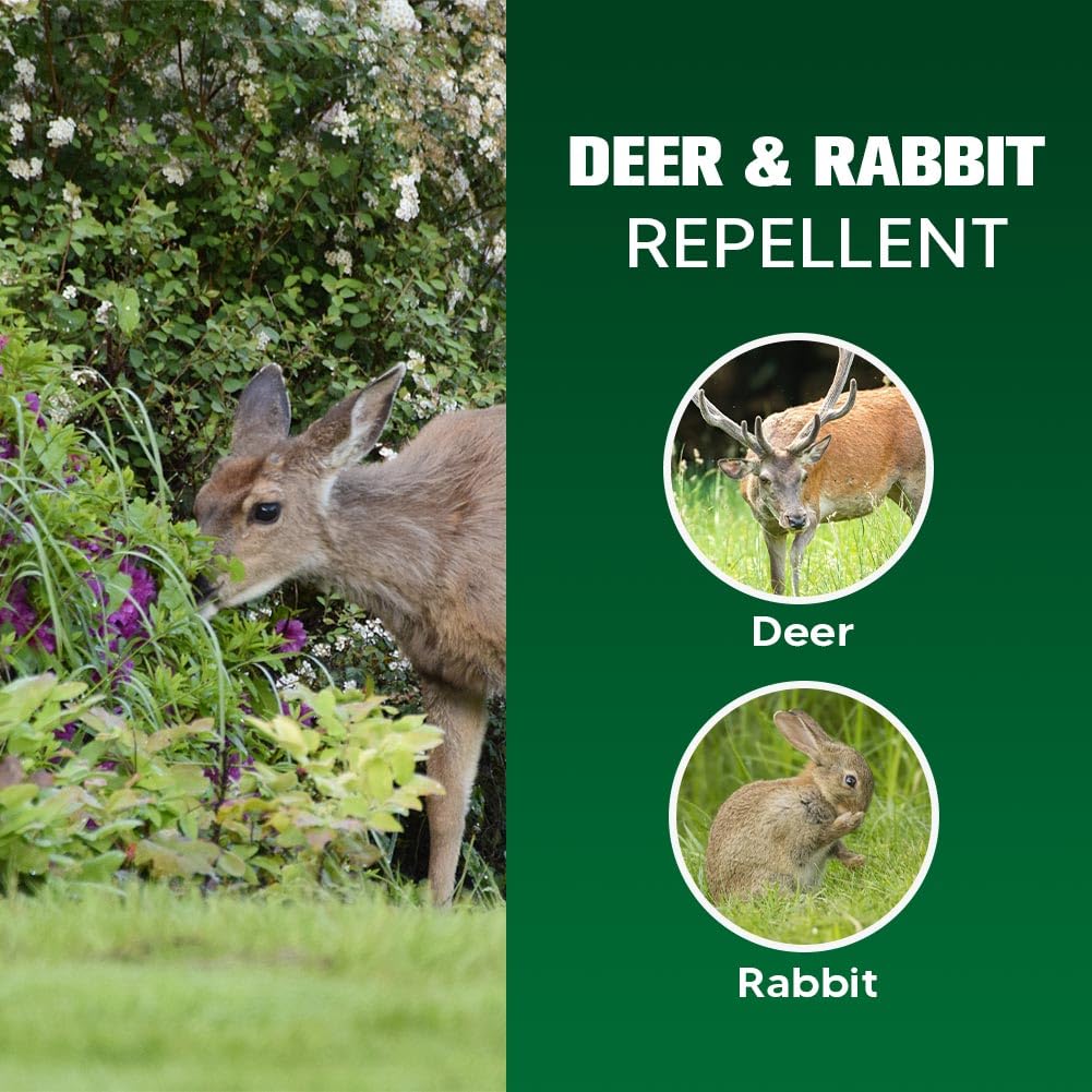LAQDECDV deer rabbit repellent balls in garden protecting plants.