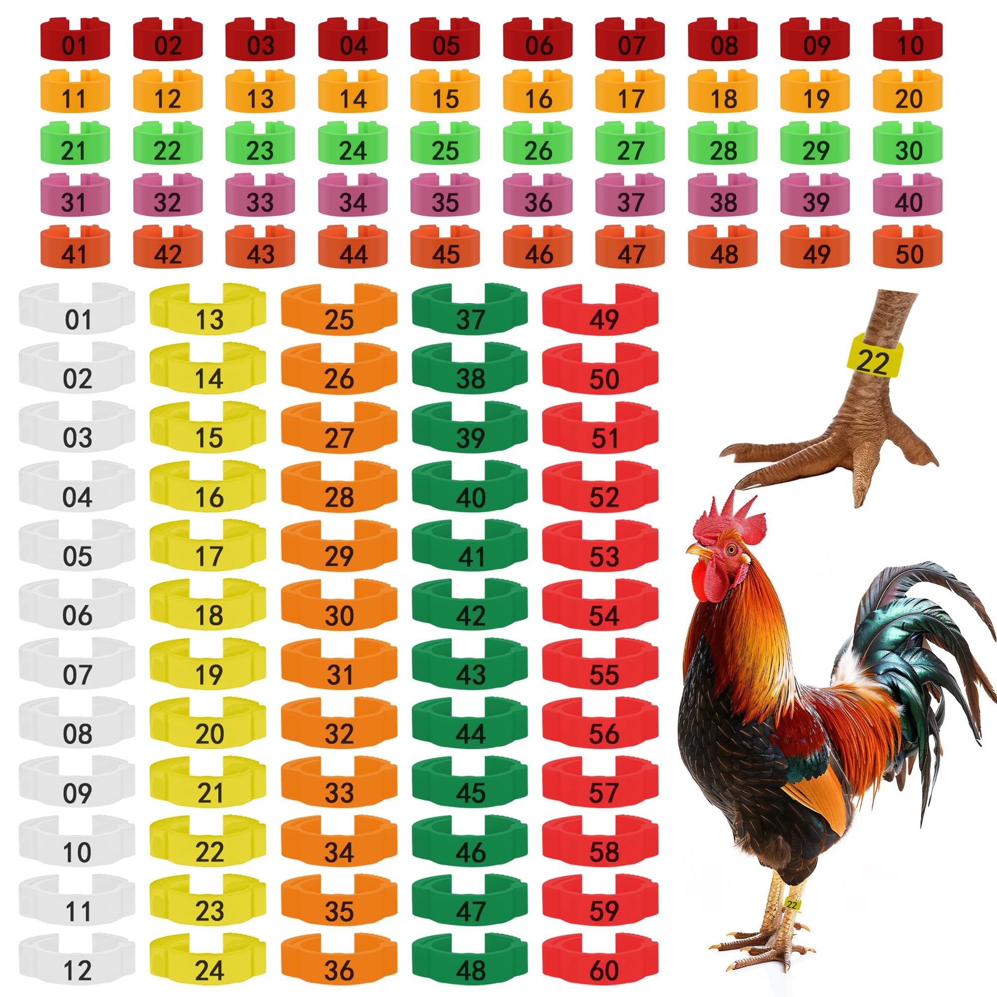 Larbeti 110pcs chicken leg rings set for easy flock tracking