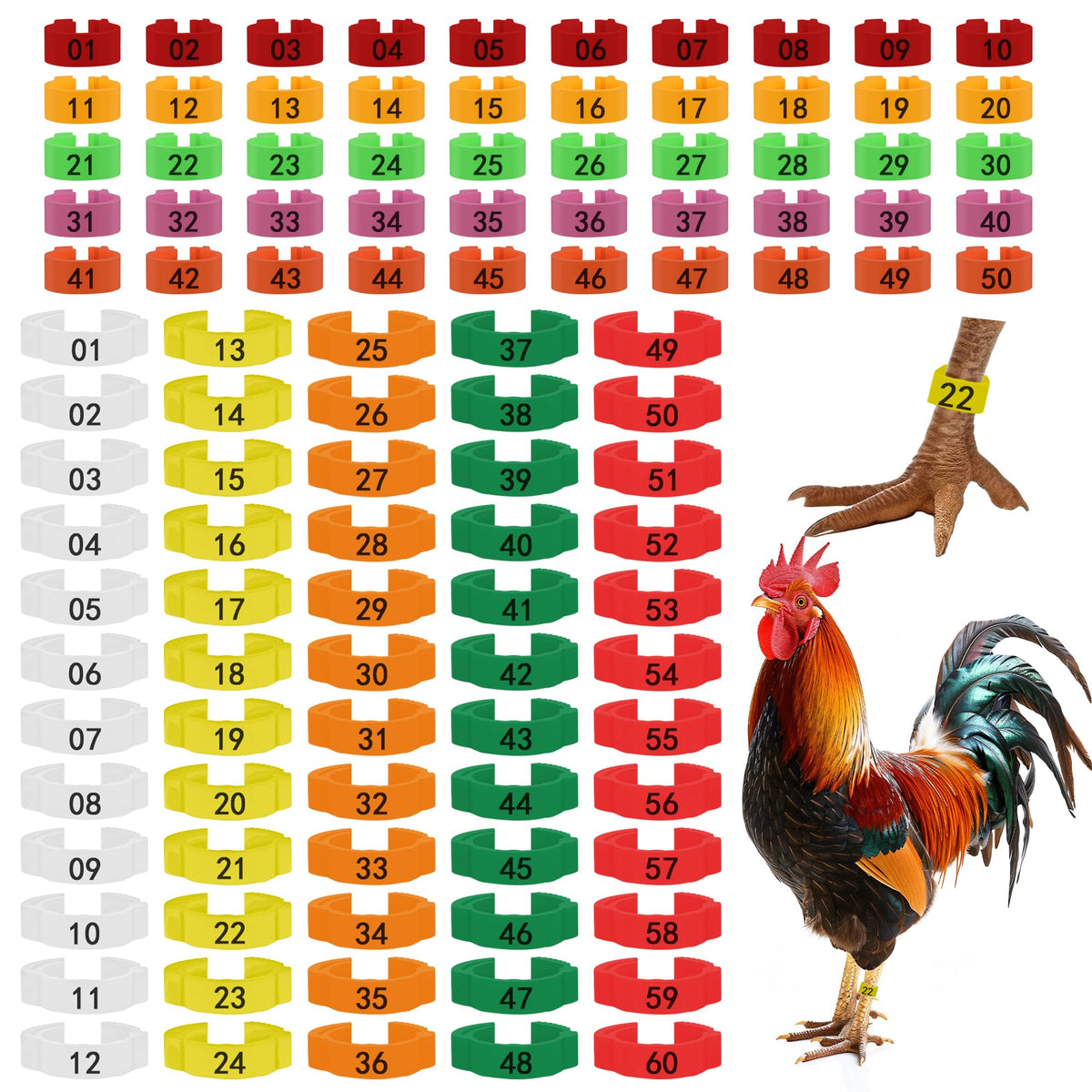 Larbeti 110pcs chicken leg rings set for easy flock tracking