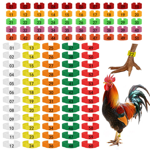 Larbeti 110pcs chicken leg rings set for easy flock tracking