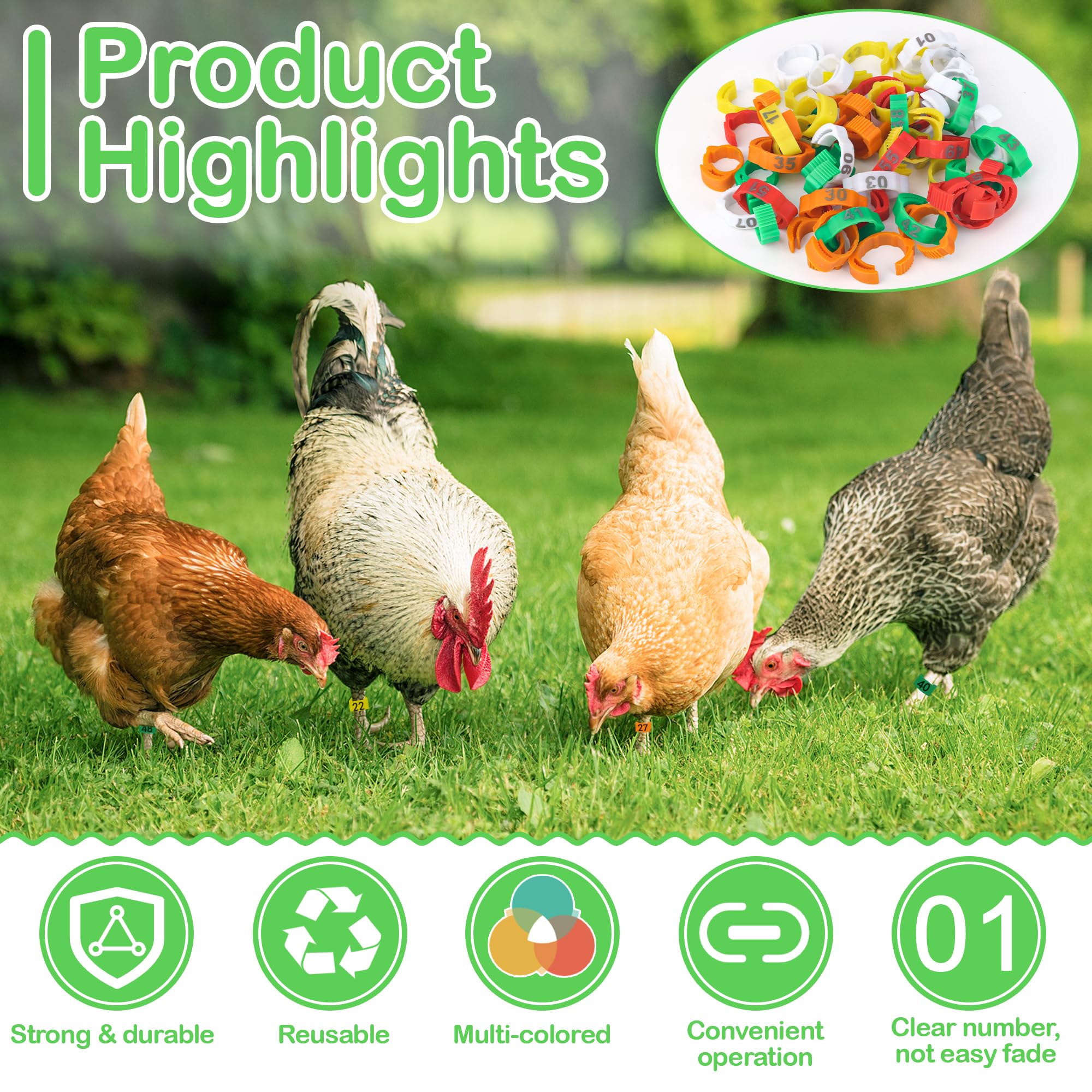 Larbeti 50pcs 8mm bands fit small birds with easy on-off tagging