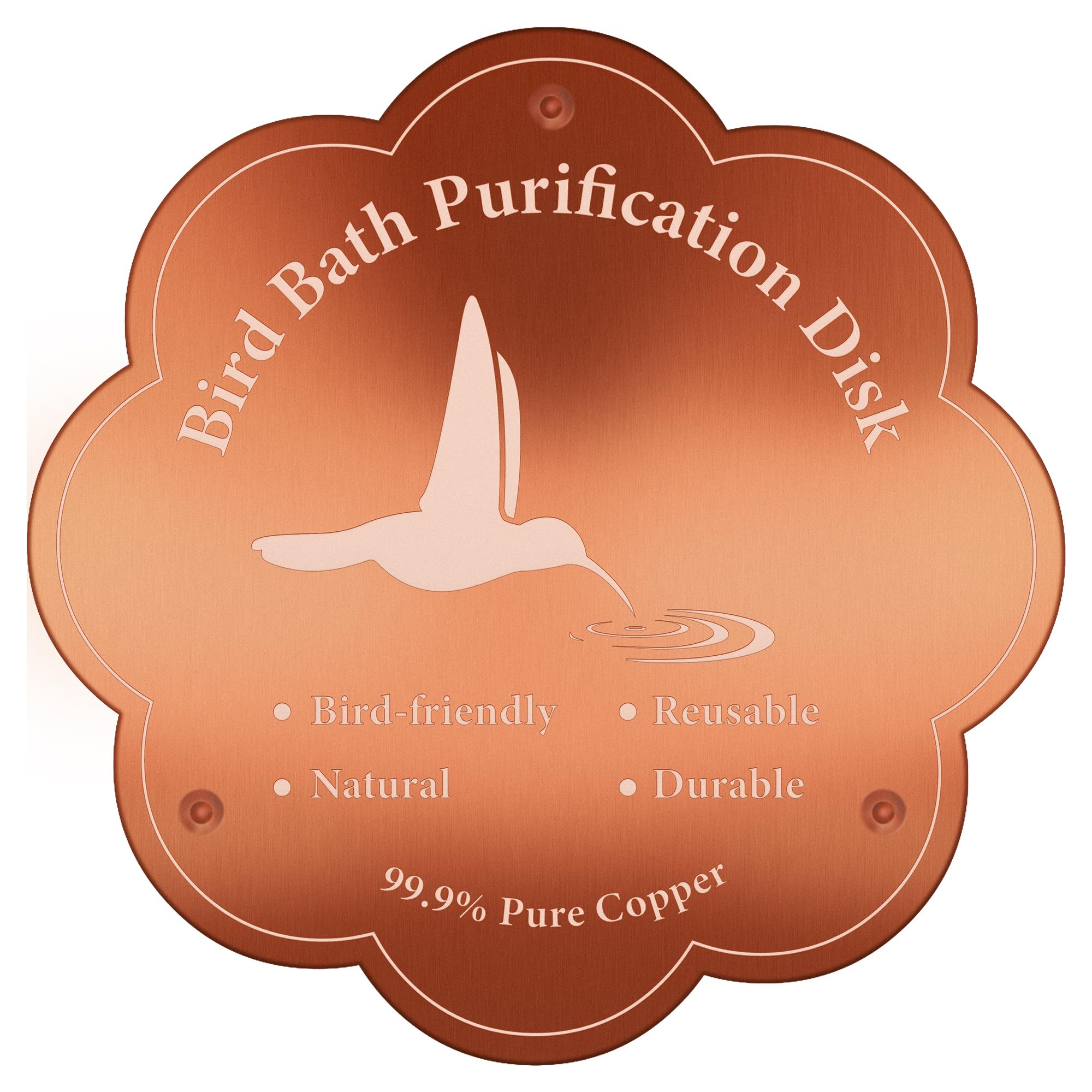 Larbeti copper purification disk ready to refresh outdoor bird baths.