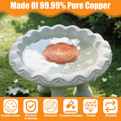Larbeti in-water action cleans bird bath water with copper ions.