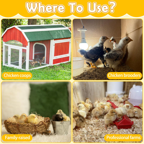 Larbeti durable wood chick perch ensures long-lasting use in home or farm settings.