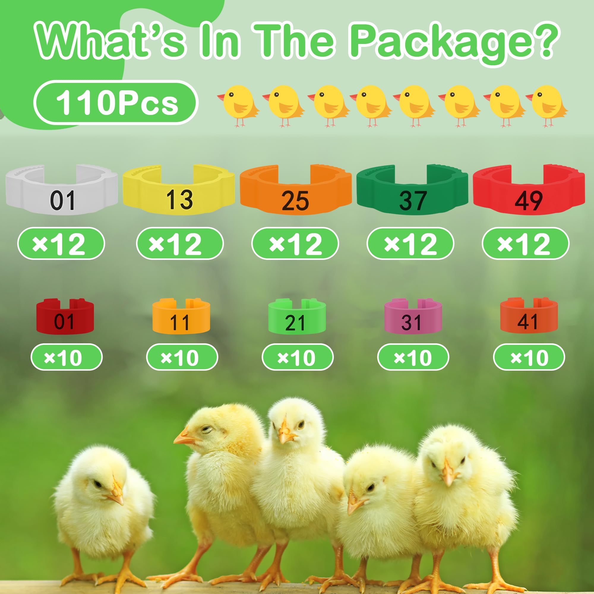 Larbeti multi-bird use tags suit hens, ducks, pigeons for easy management