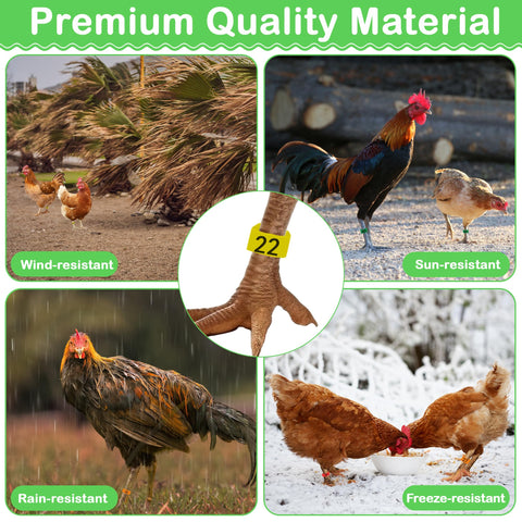 Larbeti safe durable plastic material ensures long-lasting, humane poultry tagging