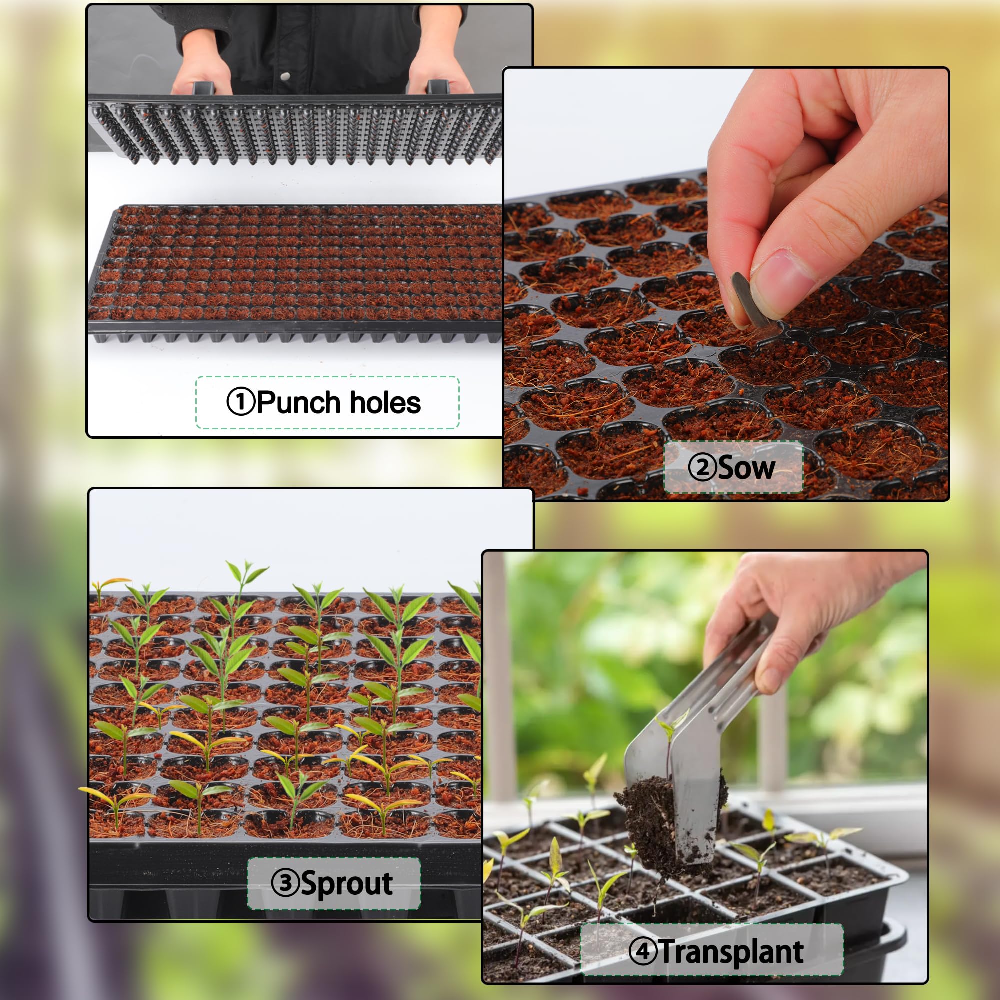 LARNORJE garden dibber with 200 pegs enables quick, consistent hole spacing.