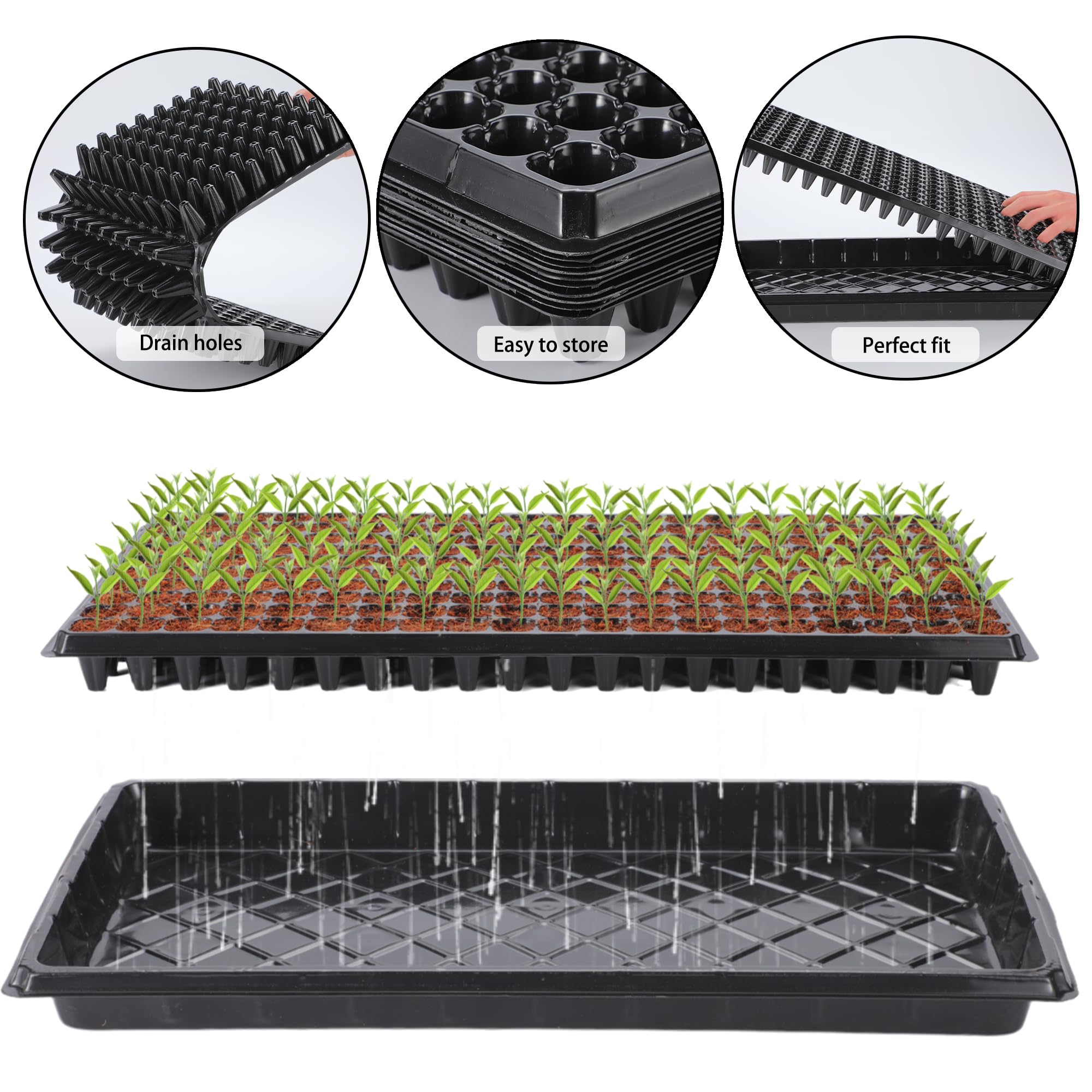 LARNORJE plant labels for trays help you distinguish seed types across trays.