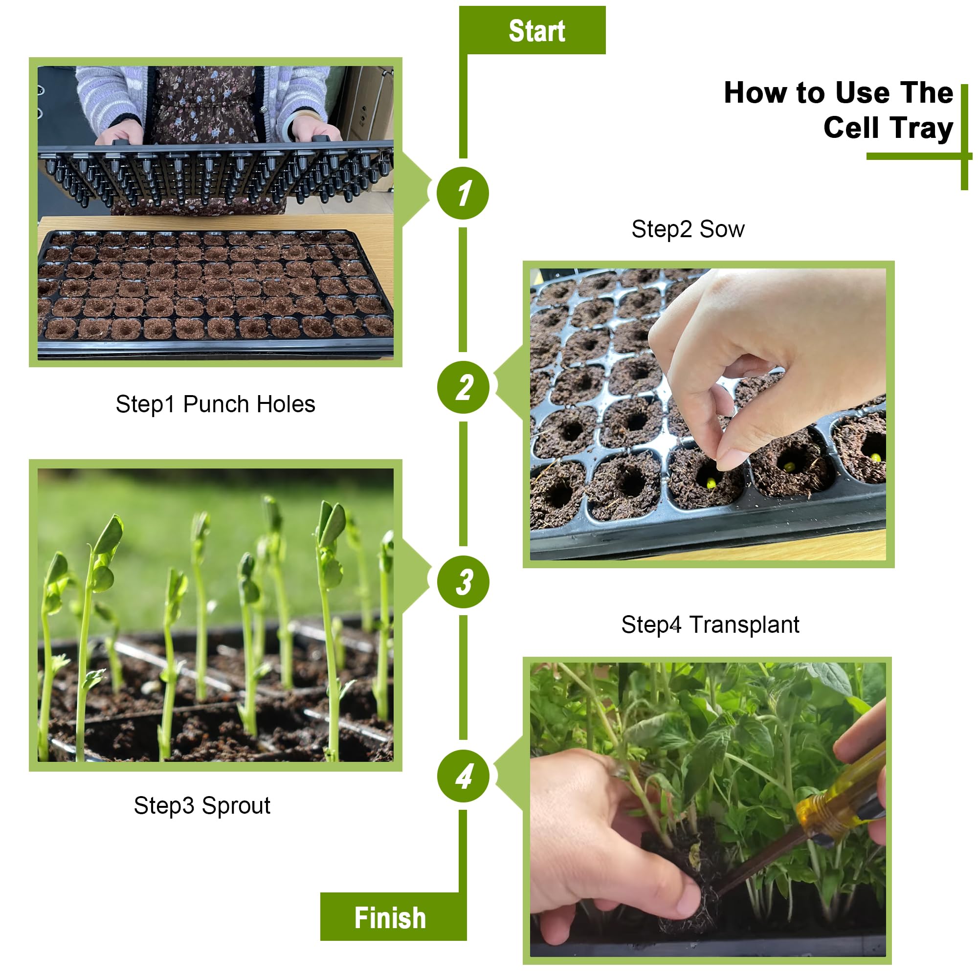 LARNORJE seed tray drain holes protect roots from overwatering