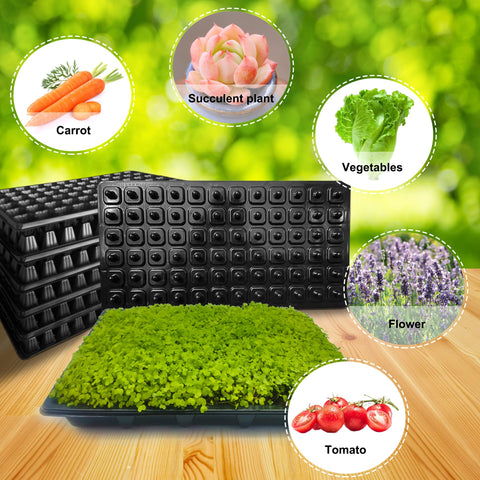 LARNORJE water guide gutter ensures even moisture to every seedling