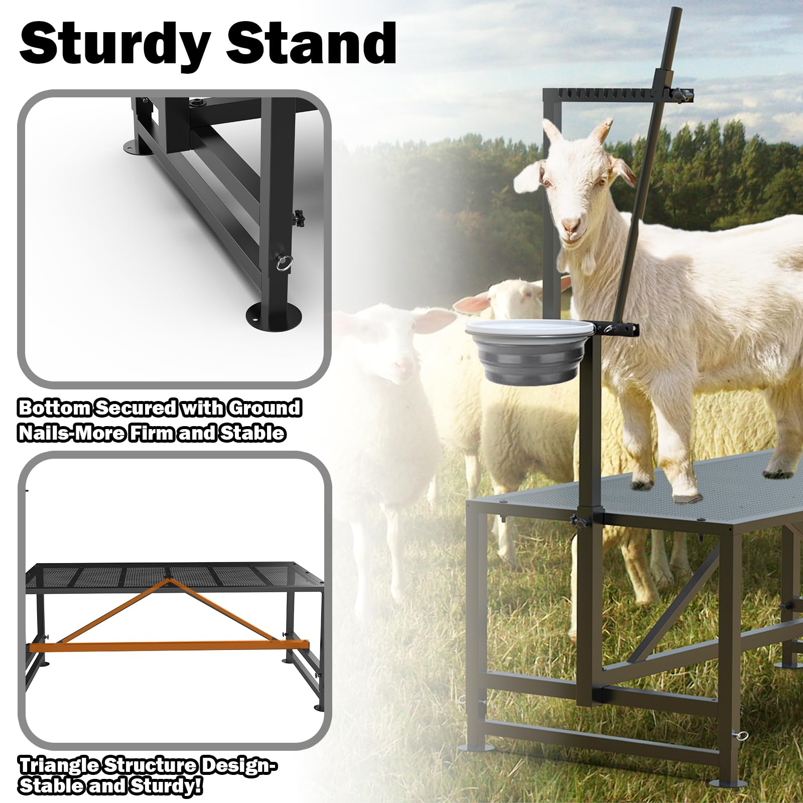 Larrik 600lbs load capacity ideal for large goats and sheep handling.