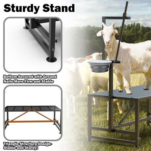 Larrik 600lbs load capacity ideal for large goats and sheep handling.