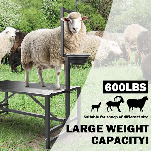 Larrik sleek metal black stanchion for durable everyday use.