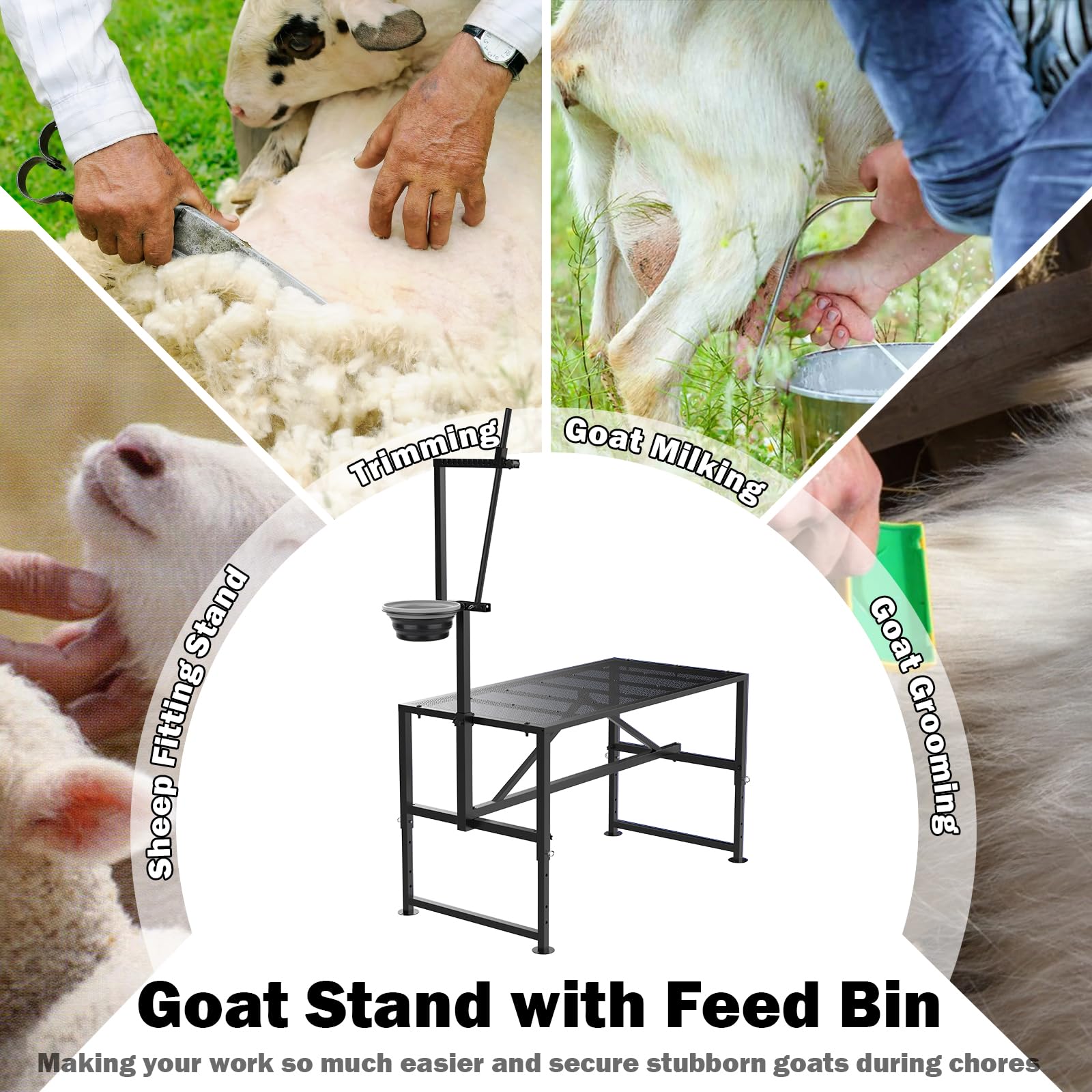 Larrik multi-use goat and sheep handling station supports safe, controlled tasks.