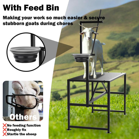 Larrik sturdy 5-crossbeam frame provides stability even with irritable goats.