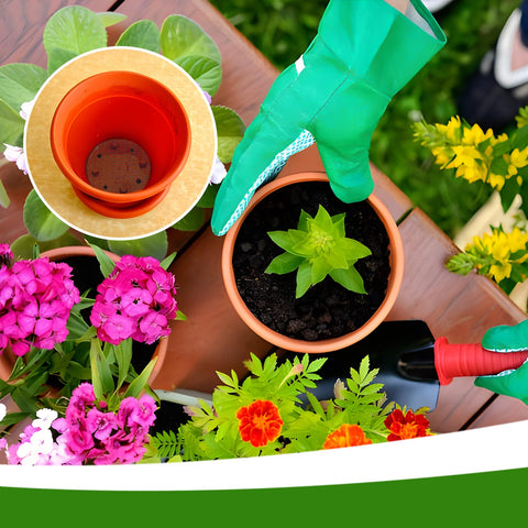 Lasuroa drainage screens helping prevent soil loss in pots