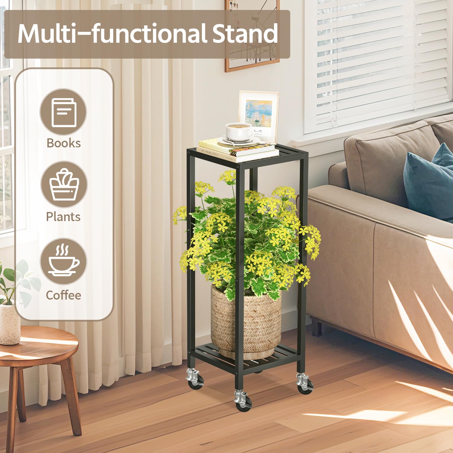 LASZOLA versatile display for corners or walls, ideal for sunlit spots.