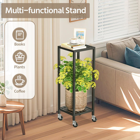 LASZOLA versatile display for corners or walls, ideal for sunlit spots.
