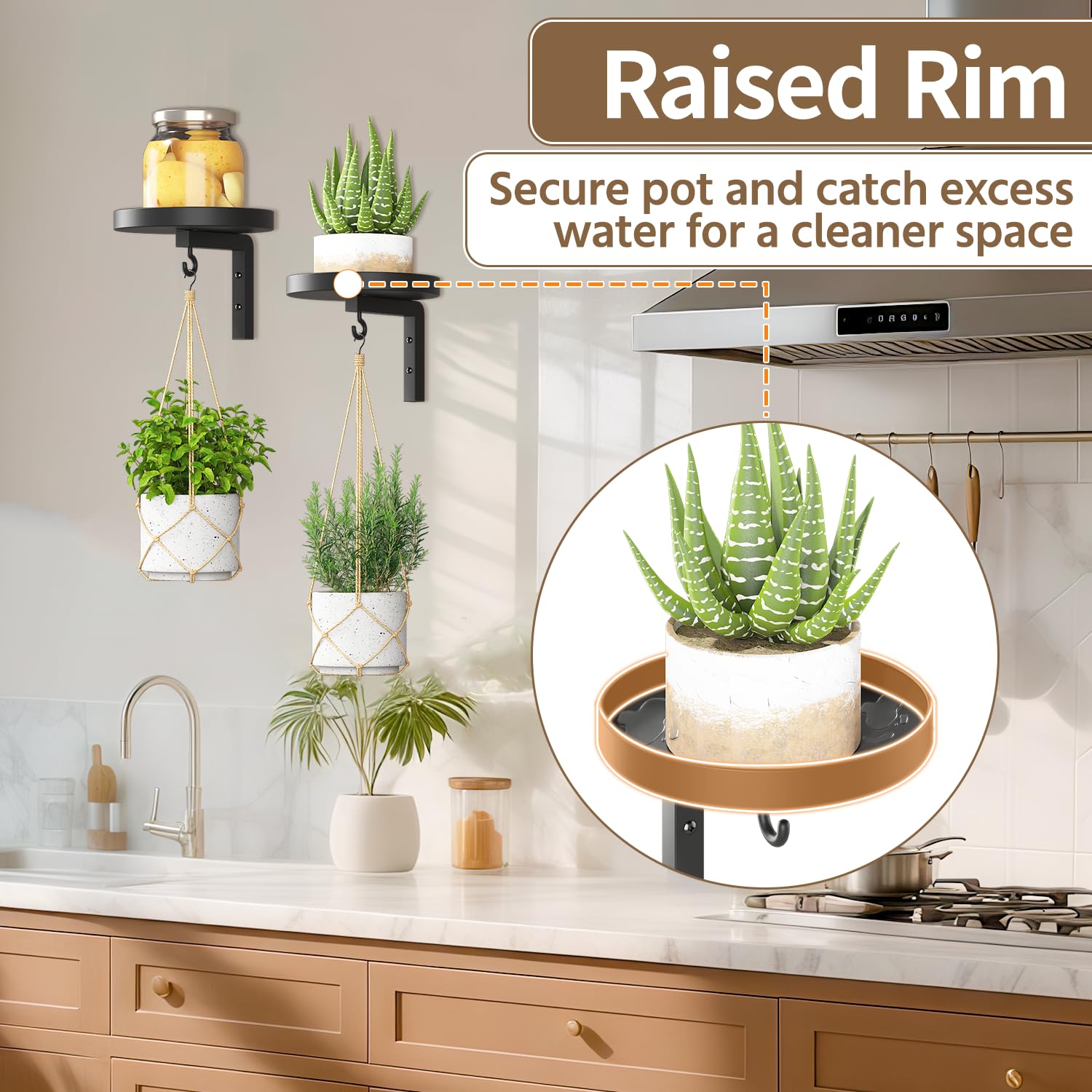 LASZOLA space-saving wall mount turns blank walls into living greenery