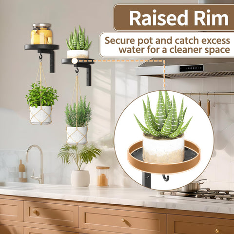 LASZOLA space-saving wall mount turns blank walls into living greenery