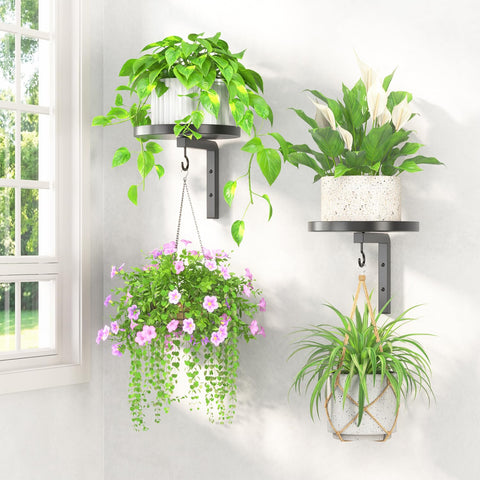 LASZOLA wall-mount plant shelf with ironclad strength supports heavy planters securely