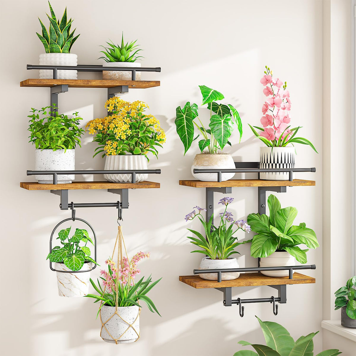 LASZOLA wall-mount plant shelves with four hangers display heavy pots securely.