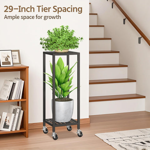 LASZOLA wide 11.6-inch trays accommodate larger pots and multiple plants.