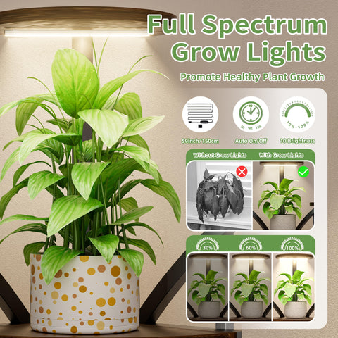 LATIBELL 11-tier display organizes a vibrant indoor garden