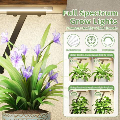 LATIBELL indoor vertical shelf neatly organizes multiple plants.