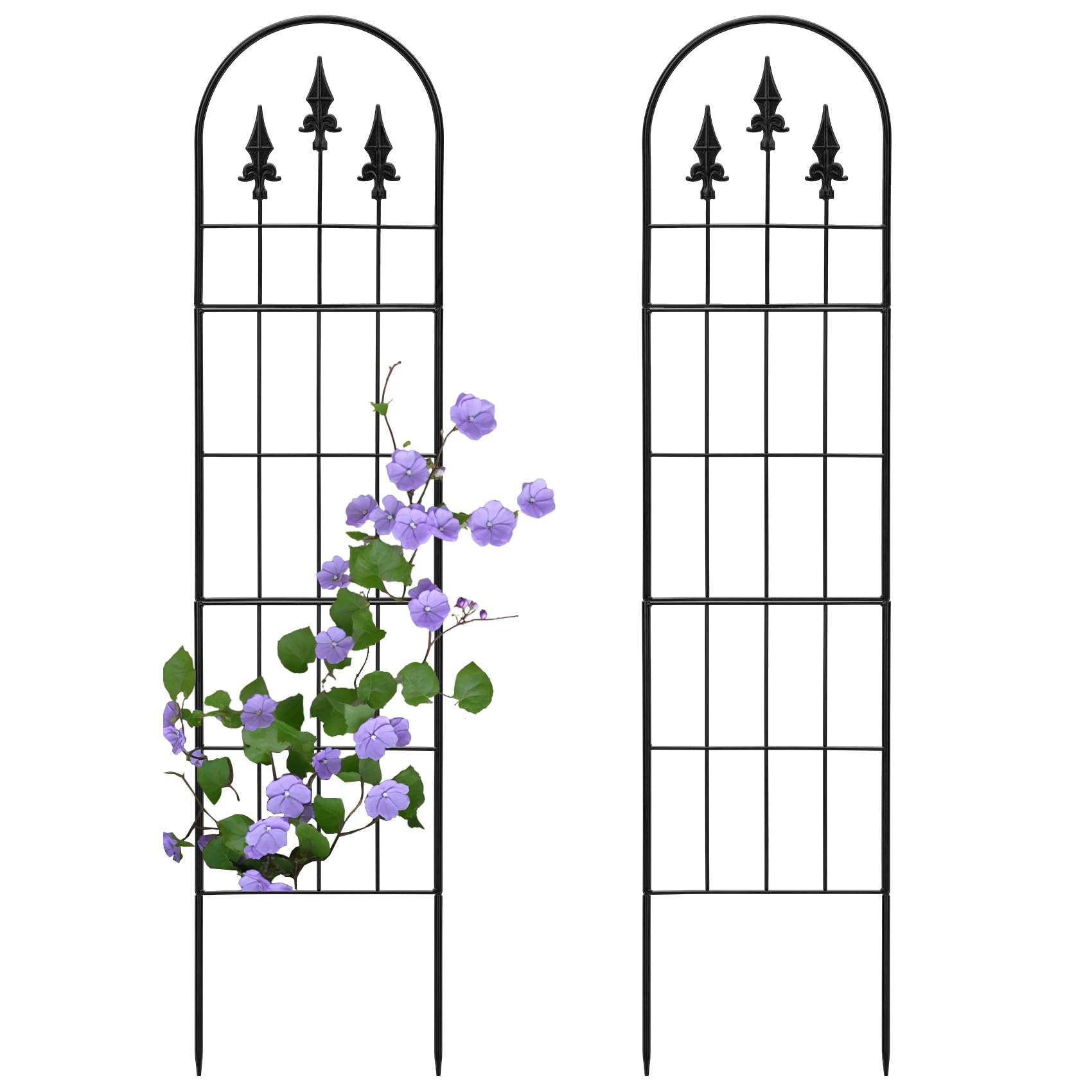 LATIHUUM two-pack garden trellis front view supports climbing plants