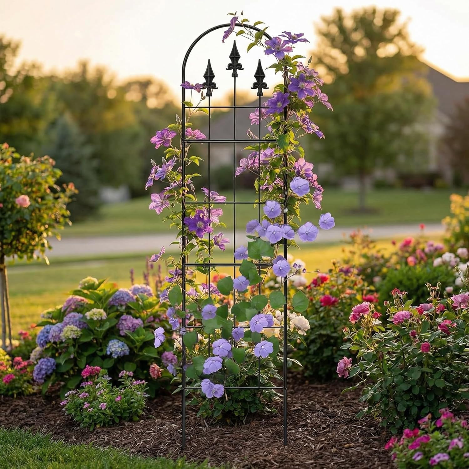 LATIHUUM climbing plants are neatly guided by the arch frame