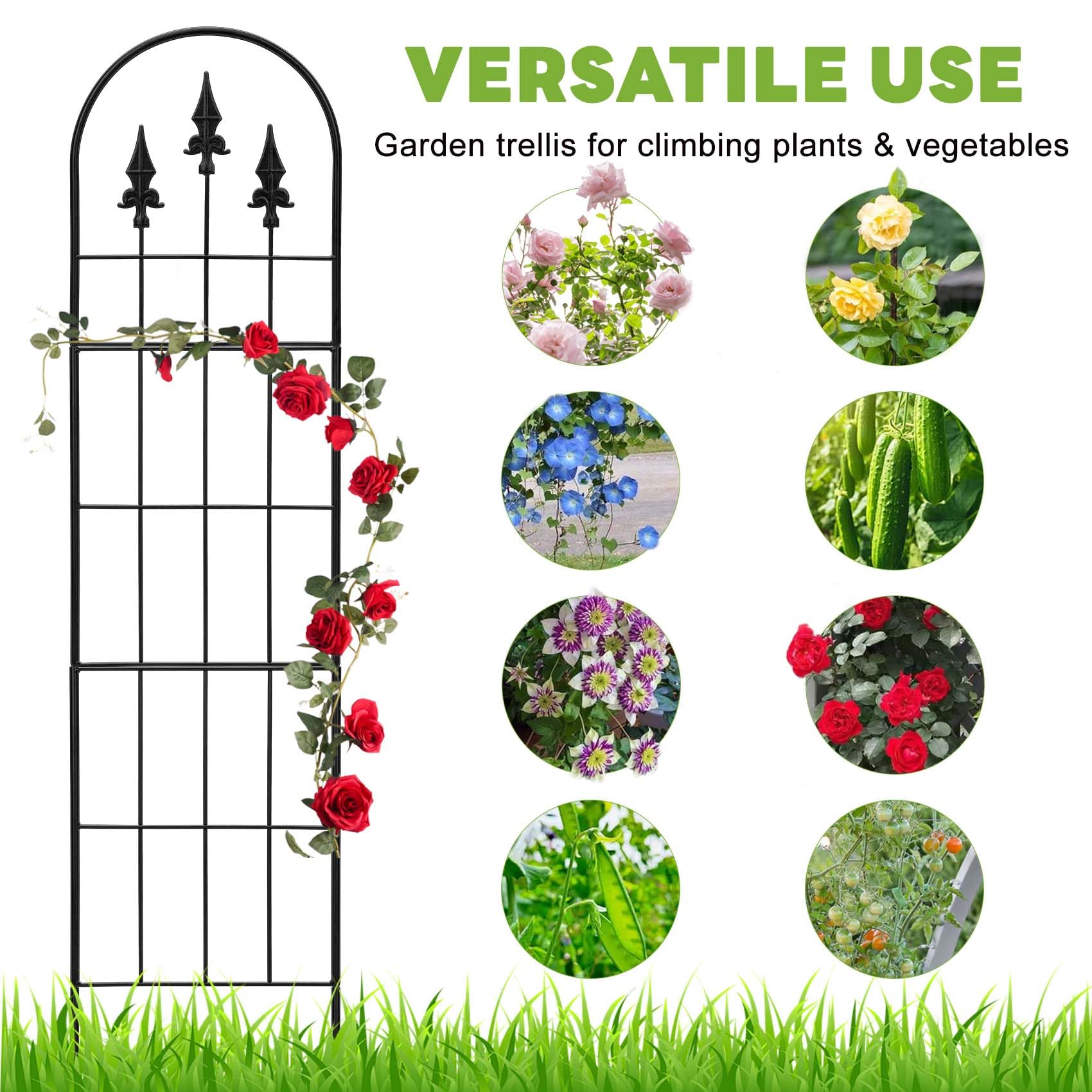 LATIHUUM rose trellis enhances garden displays with support for blooms