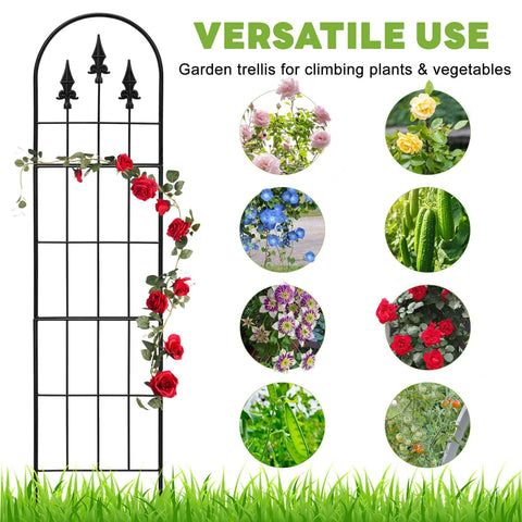LATIHUUM rose trellis enhances garden displays with support for blooms