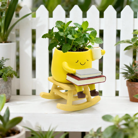 LAUGOKOBE gift-ready planter for special occasions.