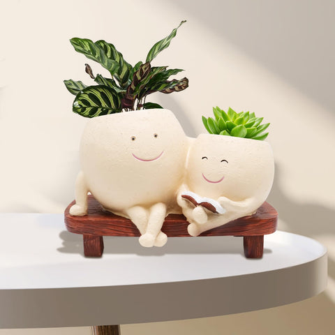 LAUGOKOBE Smily Face Planter with double heads brightens indoor decor.