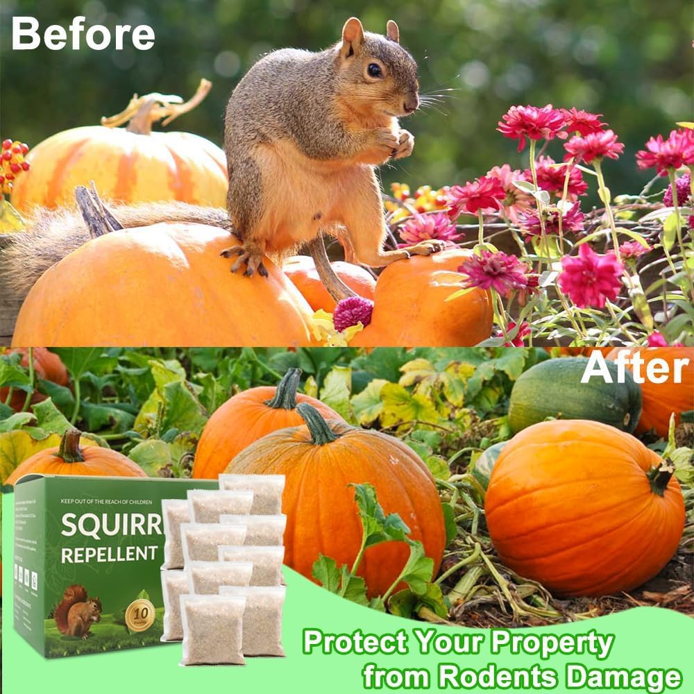 LAVANOVA Car Engine Protection Deterrent prevents chewing on wires.