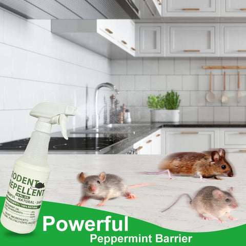 LAVANOVA Long-lasting rodent protection concept image.