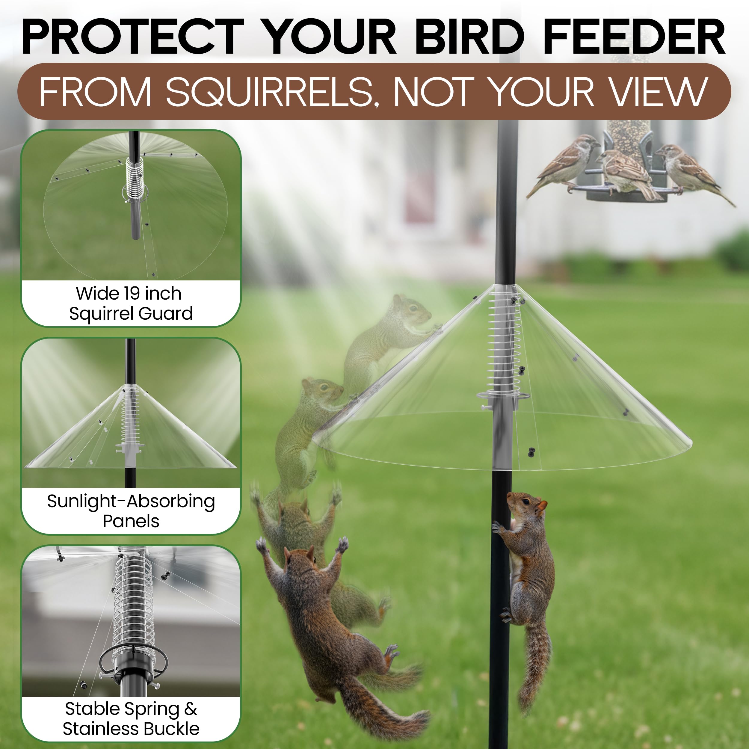 LAVDI squirrel baffle guard, front view, blocks access for jumping rodents.