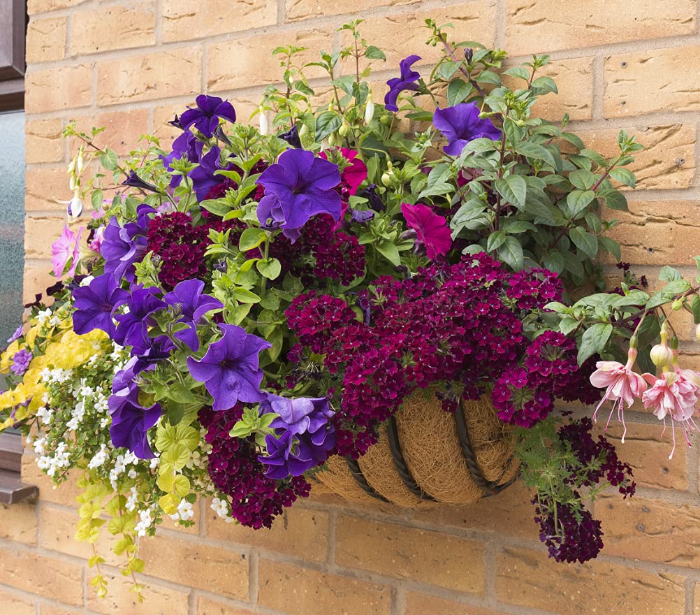 LAVEVE coco liner application in wall hanging basket for indoor/outdoor use