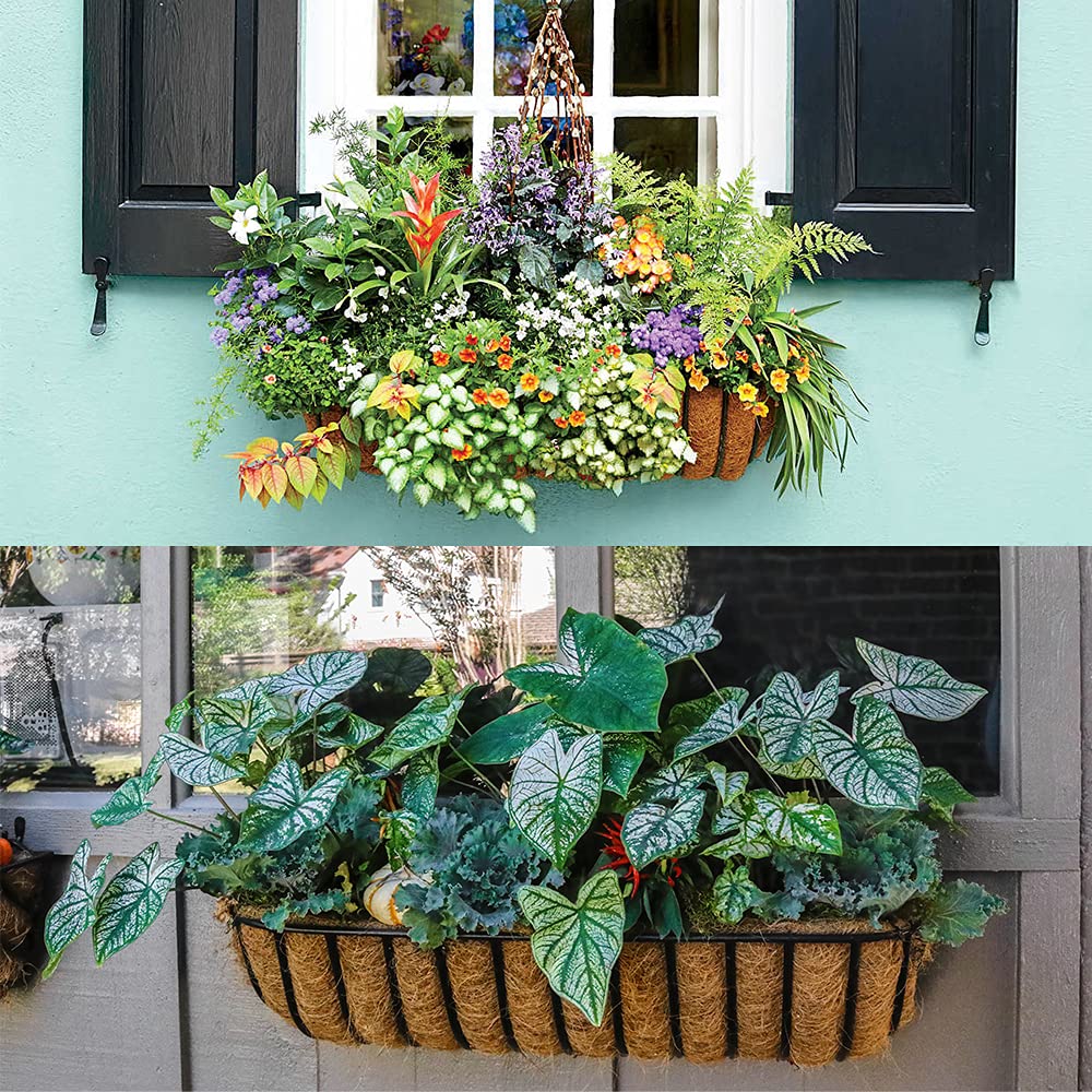 LAVEVE coir liner for window boxes, keeps soil evenly moist.