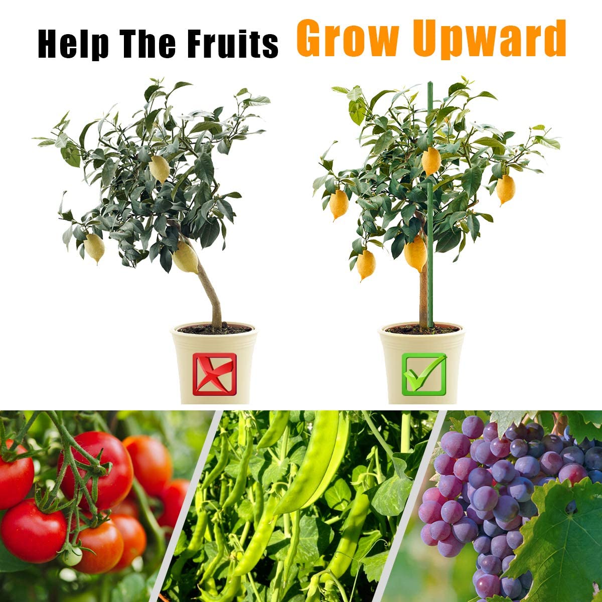 LAVEVE cucumber-tomato stake 58inch supports tall vegetables in the garden