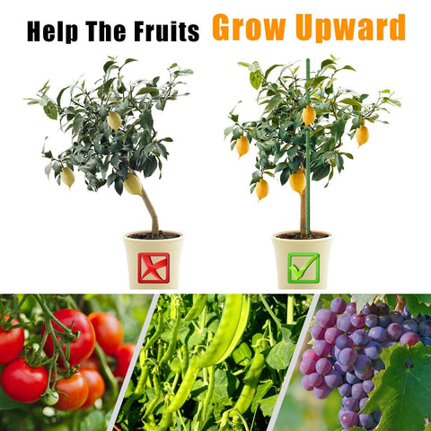 LAVEVE cucumber-tomato stake 58inch supports tall vegetables in the garden