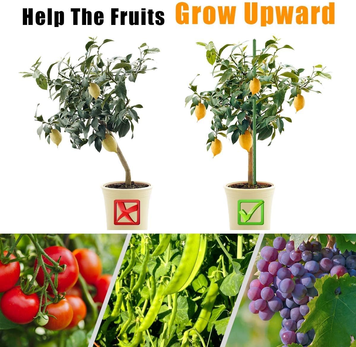 LAVEVE tomato and cucumber stakes secure climbing vines for neat, healthy trellises.