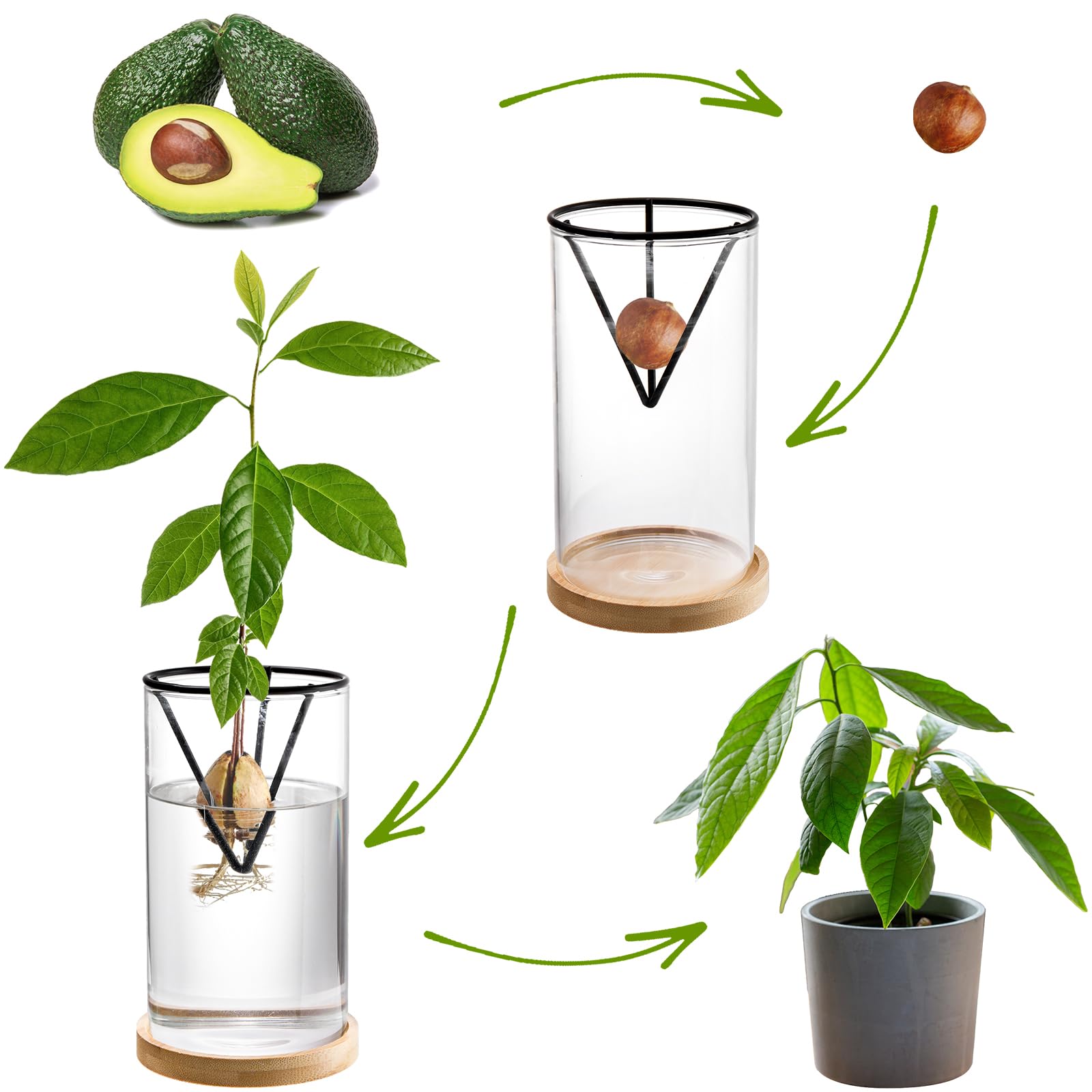 Lawei avocado kit packaging shows 3 sets for versatile display