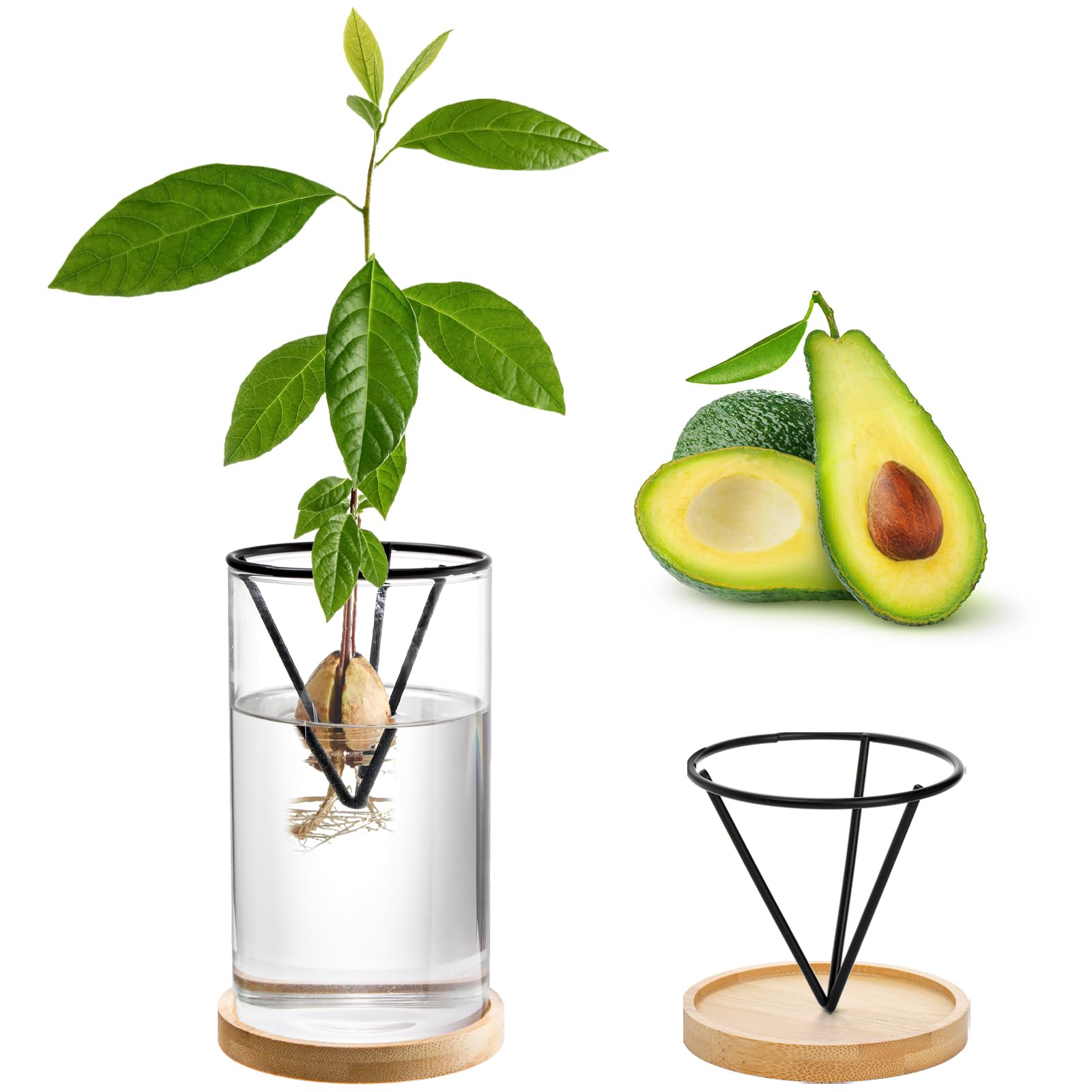 Lawei avocado vase on bamboo base blends natural style with greenery